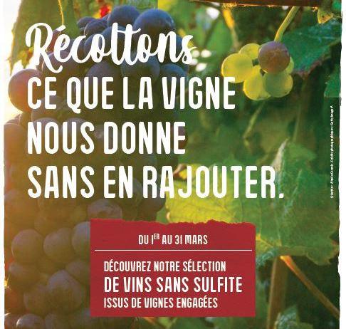 Les samedis  20 et 27 Mars, venez déguster nos vins sans sulfites en magasin !